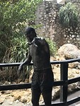 IMG_6979