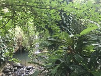 IMG_7050