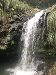 IMG_7053