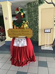 IMG_7062