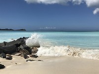 IMG_7098