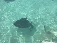 IMG_7122