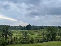 C2B63785-910B-4CFC-BFEB-8768D6A9A254