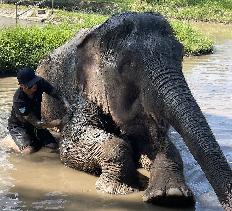 6B7C6543-384D-4F1A-8372-C7996B7AEA7D
