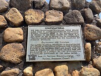 IMG_9146