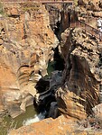 IMG_9239