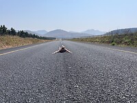 IMG_9157