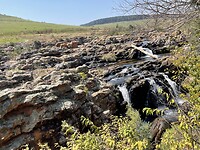 IMG_9102