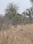 IMG_9326