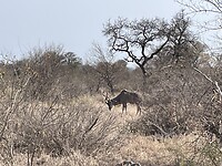 IMG_9500