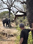 IMG_9527