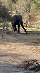 IMG_9543