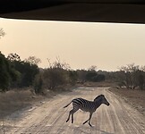 IMG_9604
