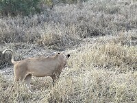 IMG_9619