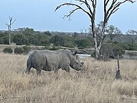 IMG_9694