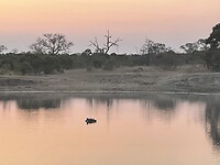 IMG_9703