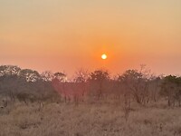 IMG_9742