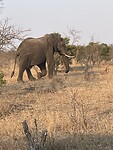IMG_9749