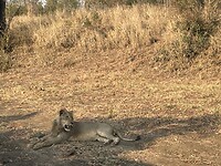 IMG_9769