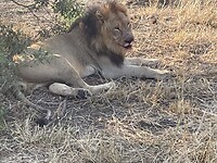IMG_9797