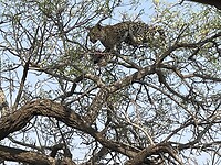 IMG_9816
