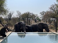 IMG_9900