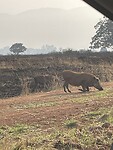 IMG_9928