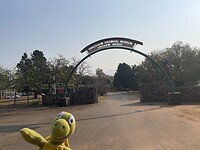 IMG_9933