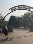 IMG_9934