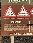 IMG_9955
