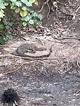 IMG_0005