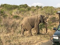 IMG_0045