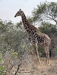 IMG_0061