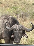 IMG_0071