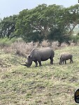 IMG_0098
