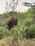 IMG_0106