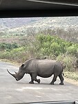 IMG_0094