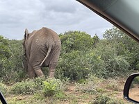 IMG_0130