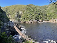 IMG_0150