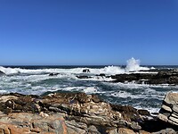 IMG_0175