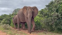 IMG_0125