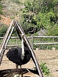 IMG_0232