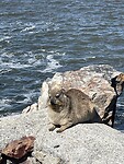 IMG_0341