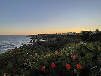 IMG_0348
