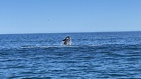 IMG_0422