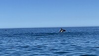 IMG_0440