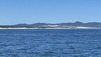 IMG_0393