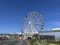IMG_0537