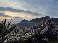 IMG_0609