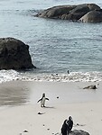 IMG_0743
